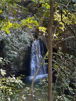 意賀美神社(岸和田)の参拝記録(KUMIKOさん)