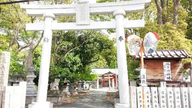 大阪府貝塚市王子１１９５ 南近義神社の写真7