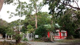 南近義神社の参拝記録(紅丑さん)