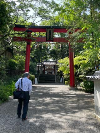 日根神社の参拝記録(chiyaki さん)