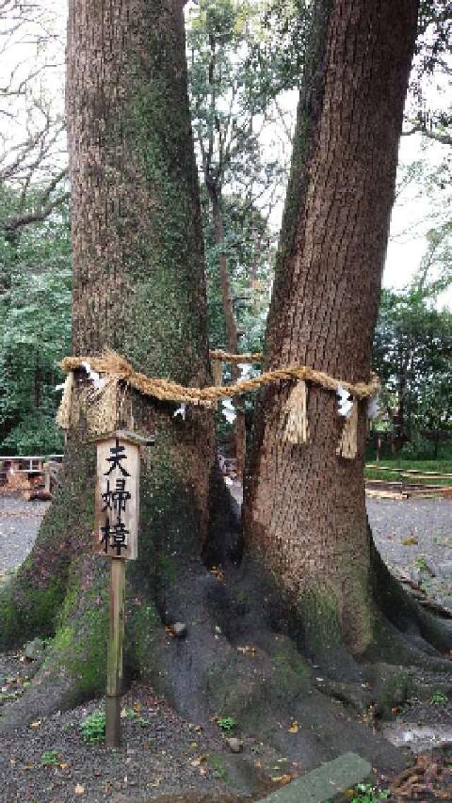 大阪府泉南市男里３−１６−１ 男神社の写真4