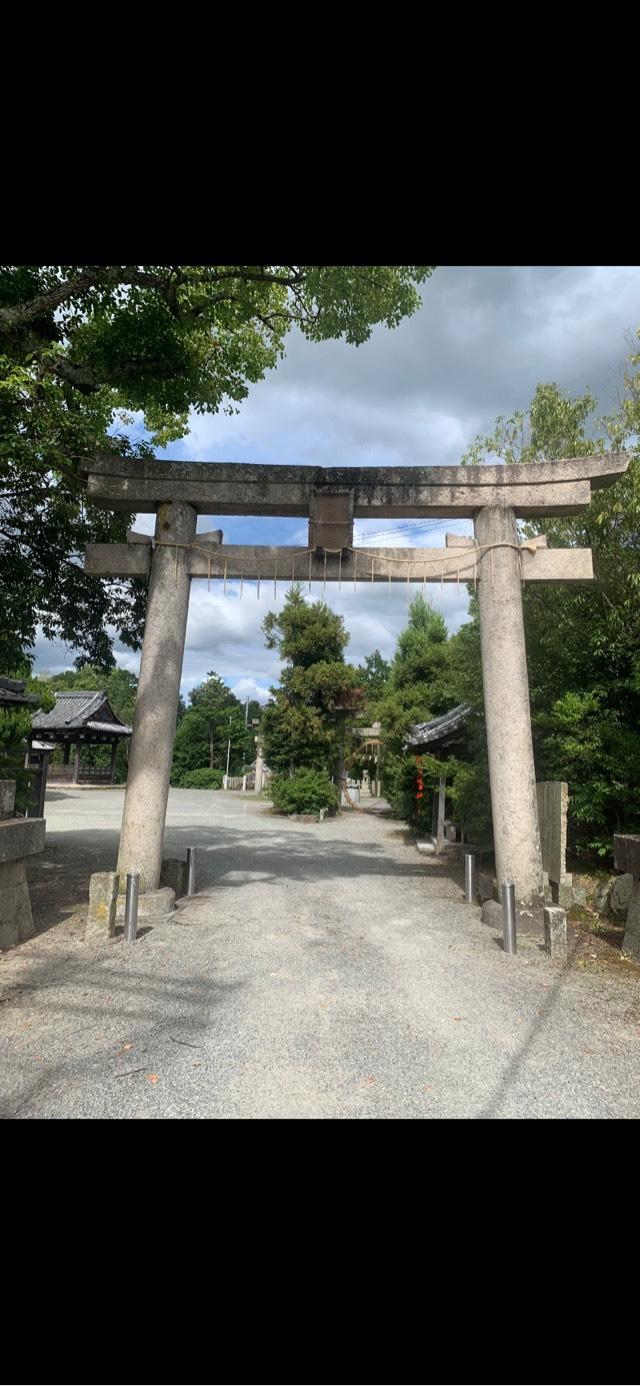 大森神社の参拝記録4