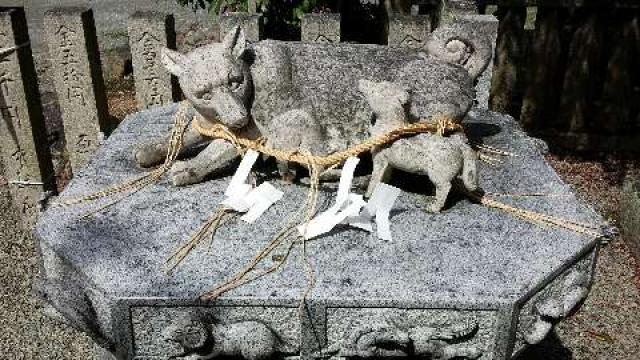大森神社の参拝記録8