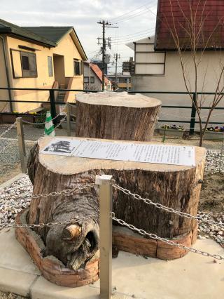 鷺宮八幡神社の参拝記録(KUMIKOさん)