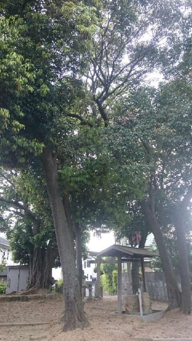 兵庫県神戸市東灘区本山北町5-2-10 小路八幡宮神社の写真2