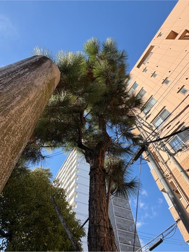 兵庫県神戸市東灘区深江本町3-5-7 大日霊女神社の写真9