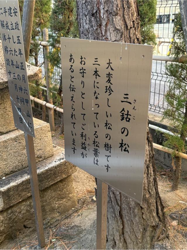 兵庫県神戸市東灘区深江本町3-5-7 大日霊女神社の写真10
