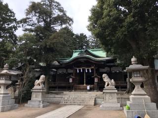 河内國魂神社（五毛天神）の参拝記録(じゃすてぃさん)