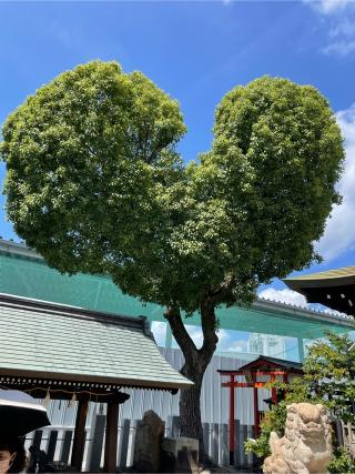 脇浜 南宮宇佐八幡神社の参拝記録(マリリンさん)