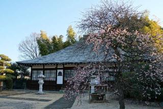 惺按山信立寺の参拝記録(thonglor17さん)