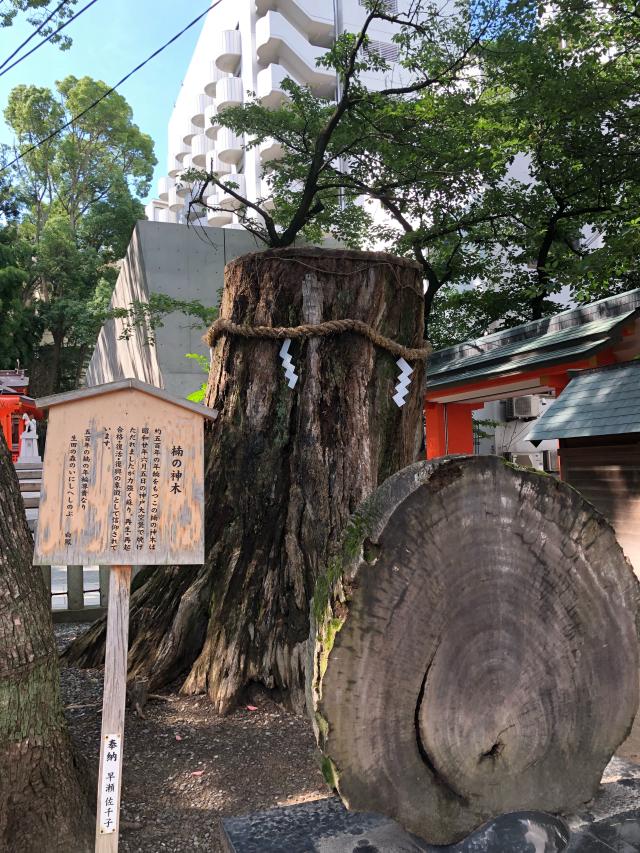 兵庫県神戸市中央区下山手通1-2-1 生田神社（いくたさん）の写真12