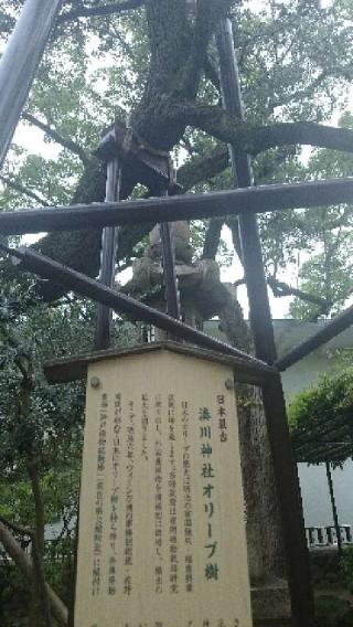 湊川神社（楠公さん）の参拝記録(金太郎さん)
