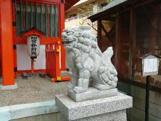 四宮神社の参拝記録(飛成さん)