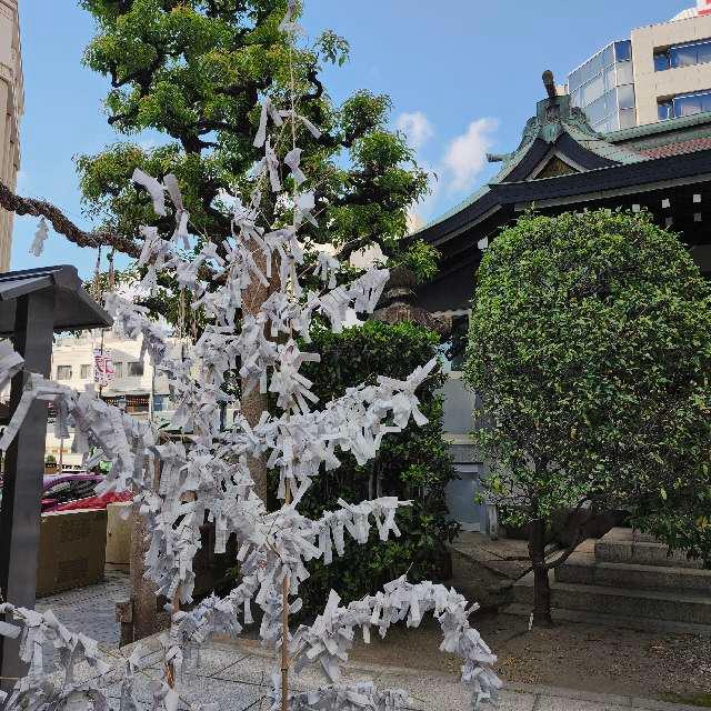 三宮神社の参拝記録8