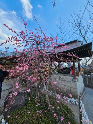 北野天満神社の参拝記録(りていんさん)