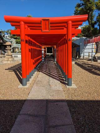 和田神社の参拝記録(ひこにゃんさん)