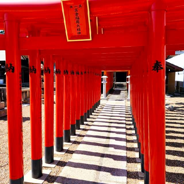 和田神社の参拝記録8
