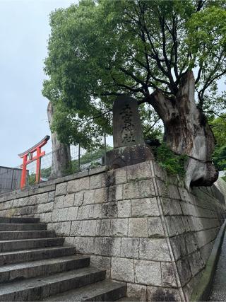 五宮神社の参拝記録(はちさん)