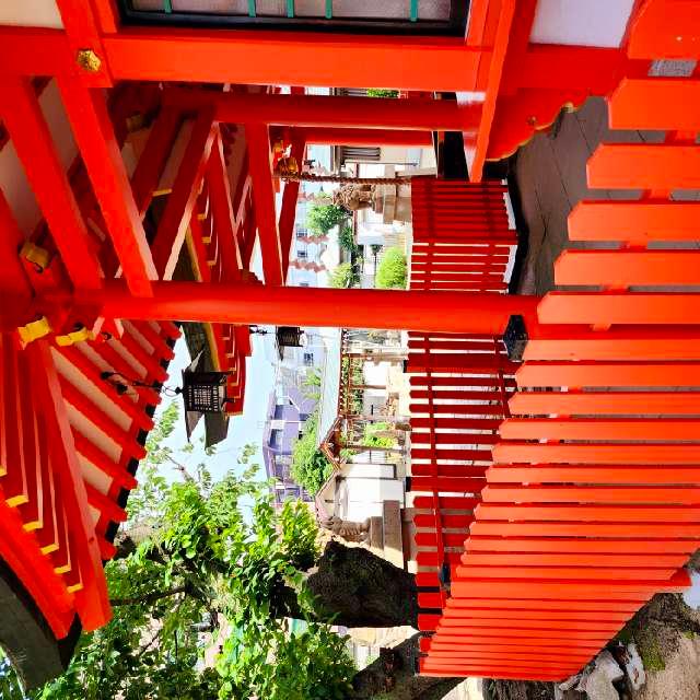 厳島神社（兵庫弁天）の参拝記録3