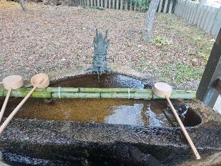 湯泉神社の参拝記録(すみれさん)