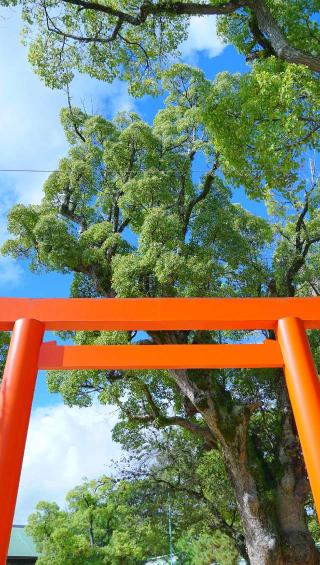 長田神社の参拝記録(布袋大国さん)