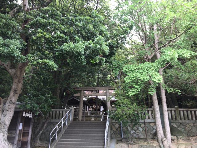 兵庫県神戸市垂水区高丸1-3-5 瑞丘八幡神社の写真1