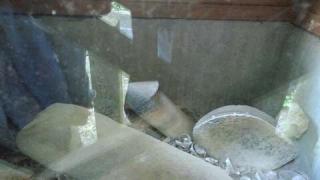 裸石神社の参拝記録(昌ちゃんさん)