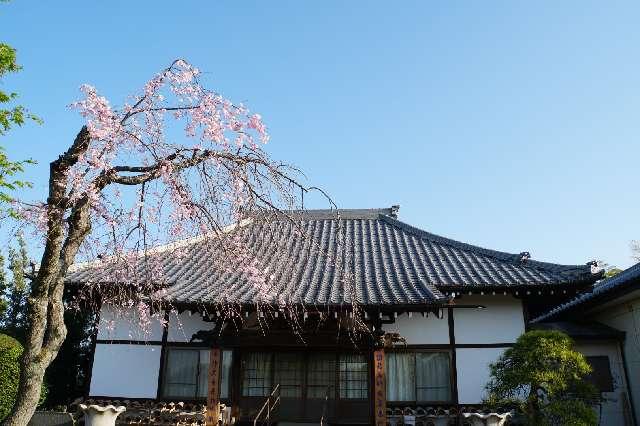神護山円通院浄泉寺の写真1