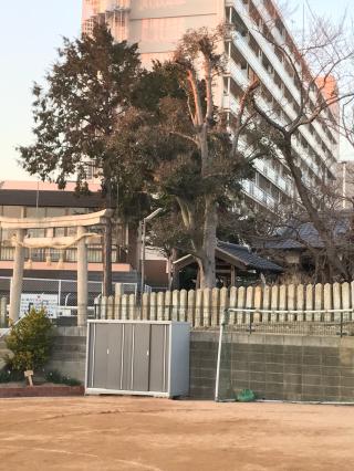 漆山厳島神社の参拝記録(Tennisqpさん)