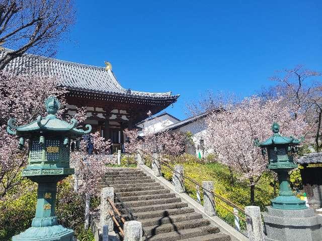 埼玉県熊谷市鎌倉町36 星河山 千手院 石上寺の写真2