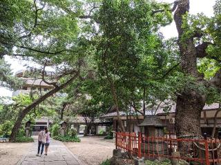 松原神社（松原天満宮）の参拝記録(つっちーさん)