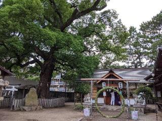 津門神社の参拝記録(つっちーさん)