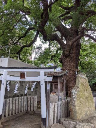 津門神社の参拝記録(つっちーさん)