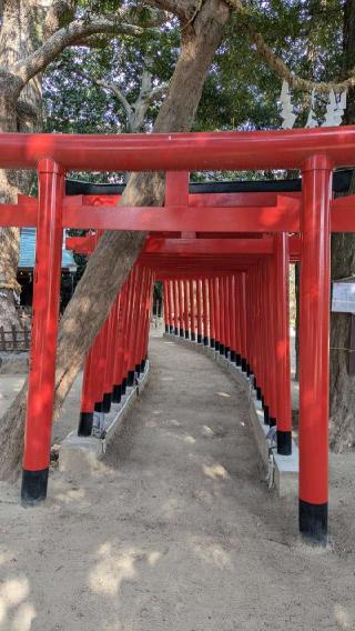 大市八幡神社の参拝記録(あきおさん)