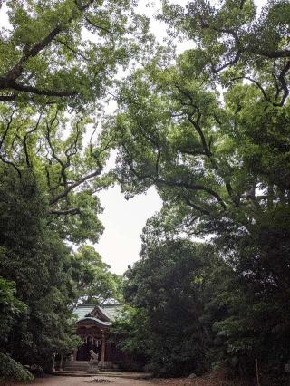 熊野神社の参拝記録(つっちーさん)