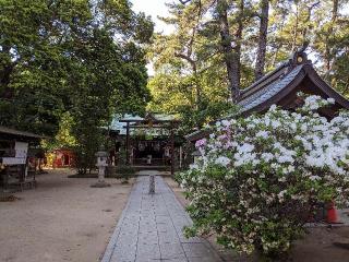 熊野神社の参拝記録(つっちーさん)