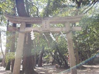 熊野神社の参拝記録(すみれさん)