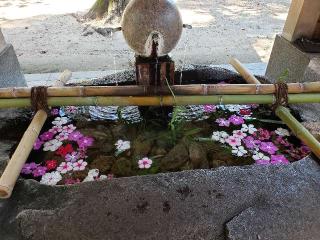 熊野神社の参拝記録(すみれさん)