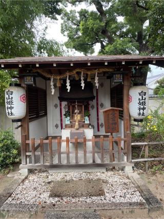 白山姫神社の参拝記録(まっつんさん)