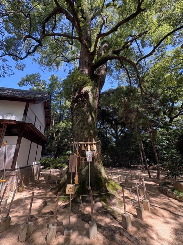 兵庫県西宮市塩瀬町生瀬465 生瀬皇太神社の写真8