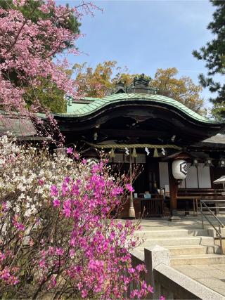 芦屋神社の参拝記録(礼さん)