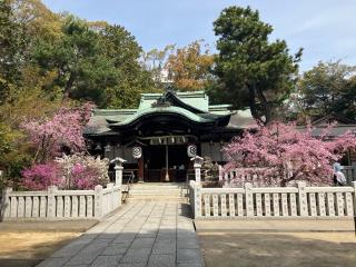 芦屋神社の参拝記録(礼さん)