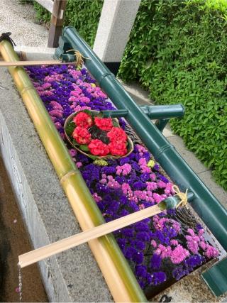 伊和志津神社の参拝記録(senwayさん)