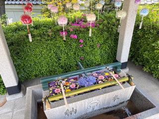 伊和志津神社の参拝記録(Hiro39さん)