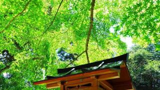 賣布神社の参拝記録(布袋大国さん)