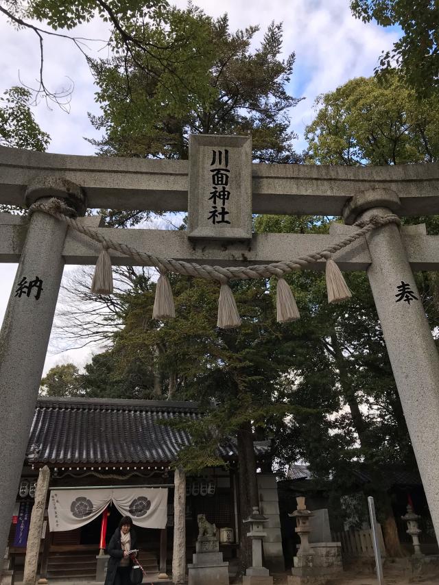 兵庫県宝塚市宮の町11-7 川面神社の写真2