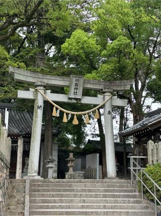 川面神社の参拝記録(ほちさん)