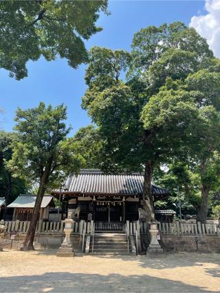 小浜皇大神社の参拝記録(ふうりんパパさん)