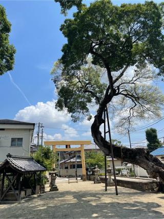 小浜皇大神社の参拝記録(ふうりんパパさん)
