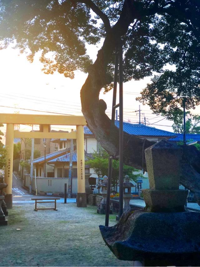 小浜皇大神社の参拝記録4